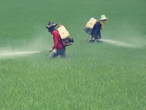 44% of farmers poisoned by pesticides globally each year