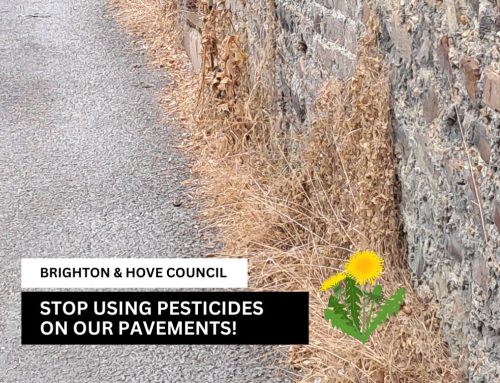 A coalition of organisations call on Brighton & Hove Council to go pesticide-free