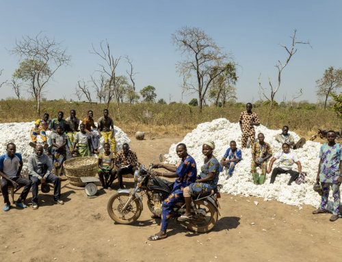 A new era for organic cotton in Benin