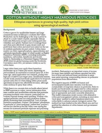 Cotton in Ethiopia - Pesticide Action Network UK