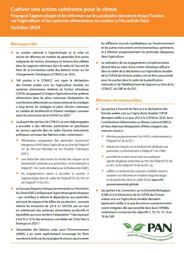 Cultivating Coherent Climate Action - French