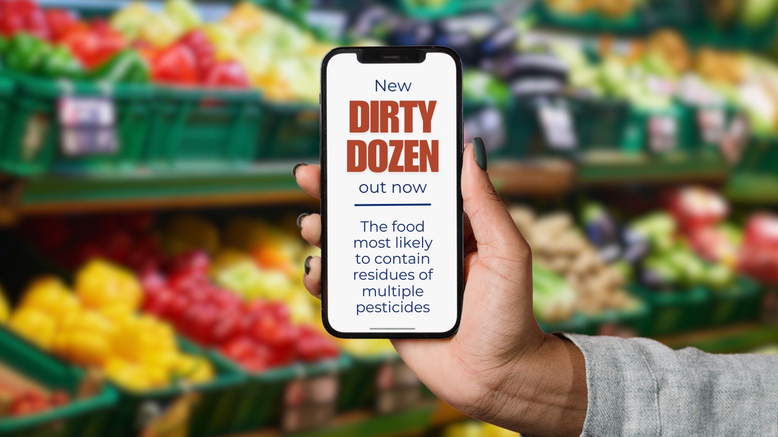 Download the Dirty Dozen 2024