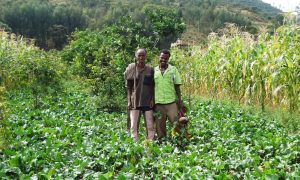 Encouraging organic agriculture in Ethiopia