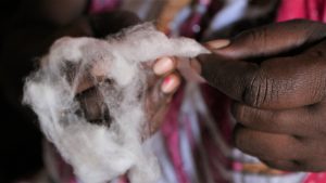 Organic cotton is empowering women in Ethiopia