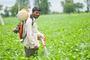 Farmer spraying pesticides on soy crop in India