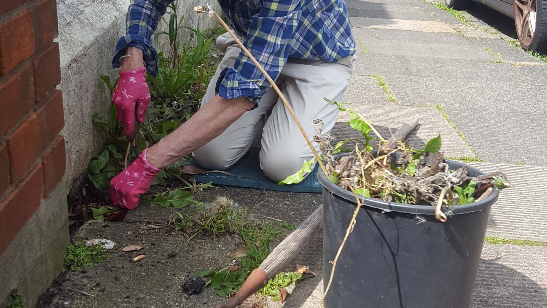 Community weeding groups are a great support for councils looking to end their use of pesticides. Credit PAN UK.