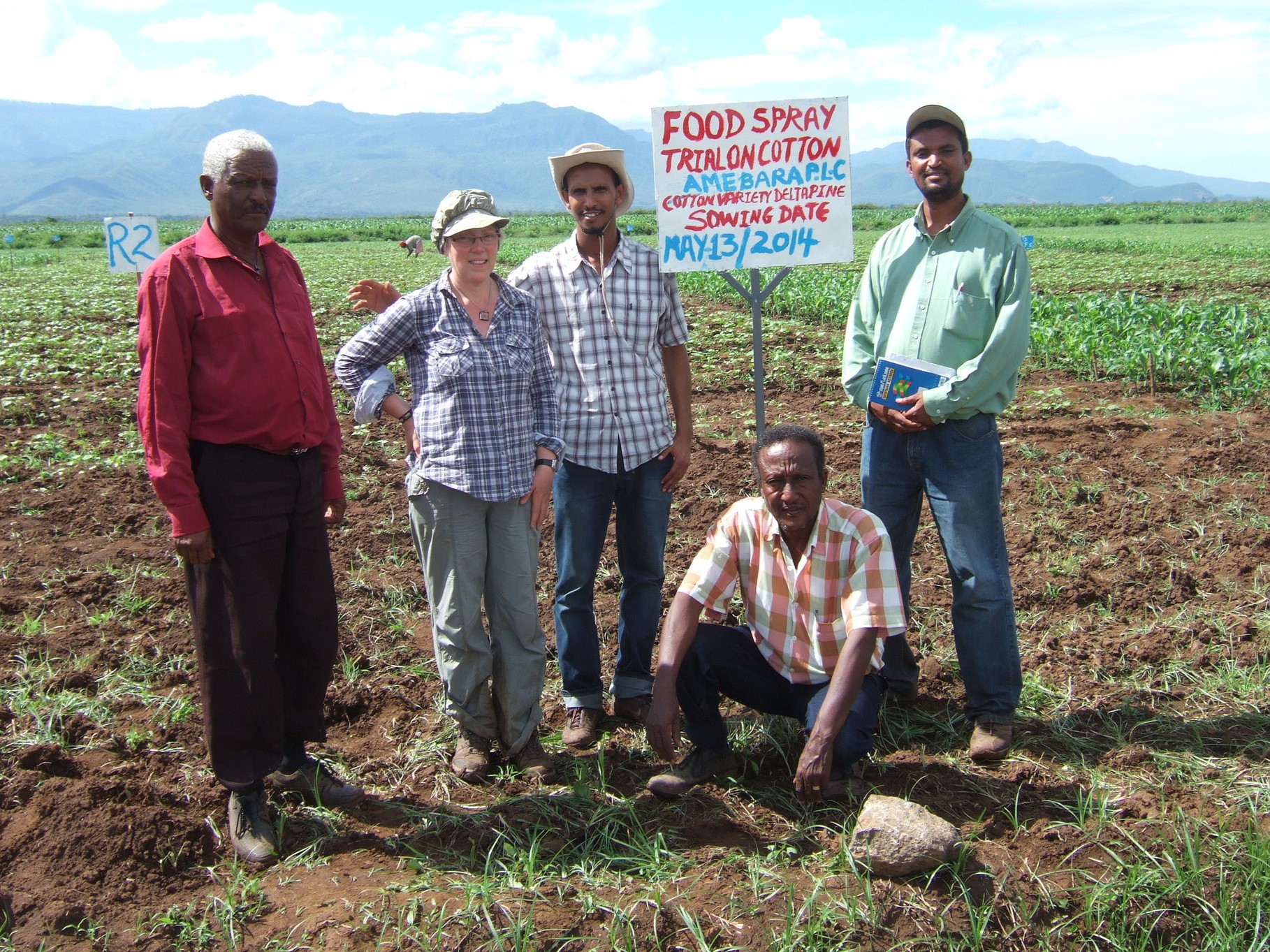 Left to right: Tesfaye Gebre, Stephanie Williamson, Atalo Belay, Bazezew Gebremariam and Mulualem Mersha. Setting up PAN Ethiopia's first food spray trials in 2013. Credit PAN UK.