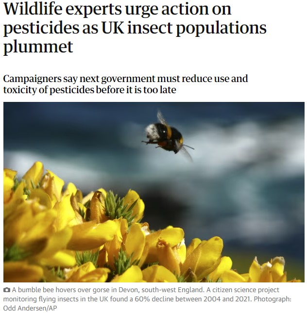 The Guardian: Wildlife experts urge action on pesticides as UK insect populations plummet