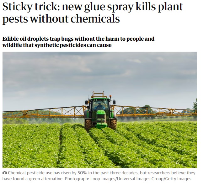 The Guardian: New glue spray kills plant pests without chemicals