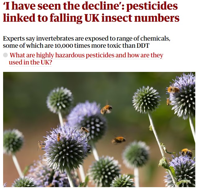 The Guardian: ‘I have seen the decline’ - pesticides linked to falling UK insect numbers