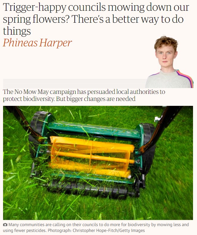 The Guardian: Trigger-happy councils mowing down our spring flowers? There’s a better way to do things