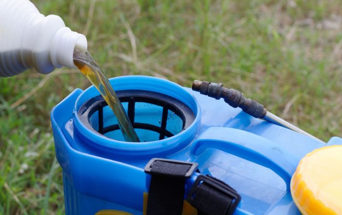 Pouring herbicide into a spray container.