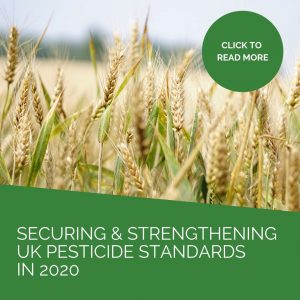 Securing and strengthening UK pesticide standards in 2020