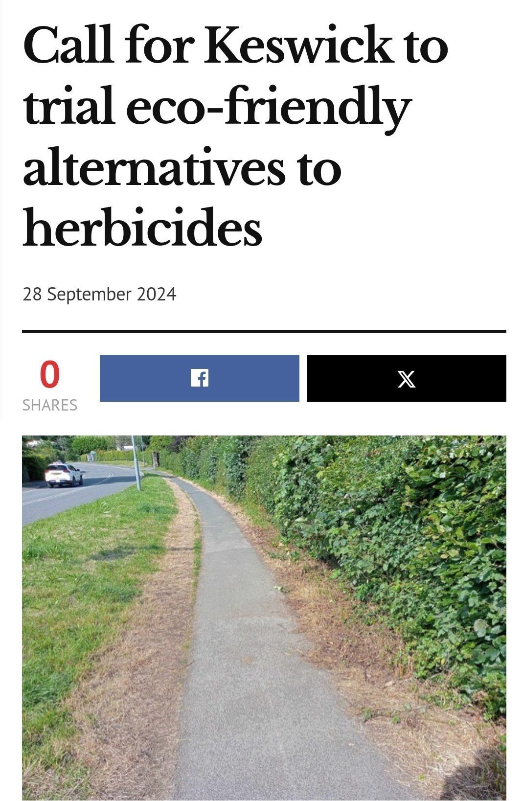 The Keswick reminder: Call for Keswick to trial eco-friendly alternatives to herbicides