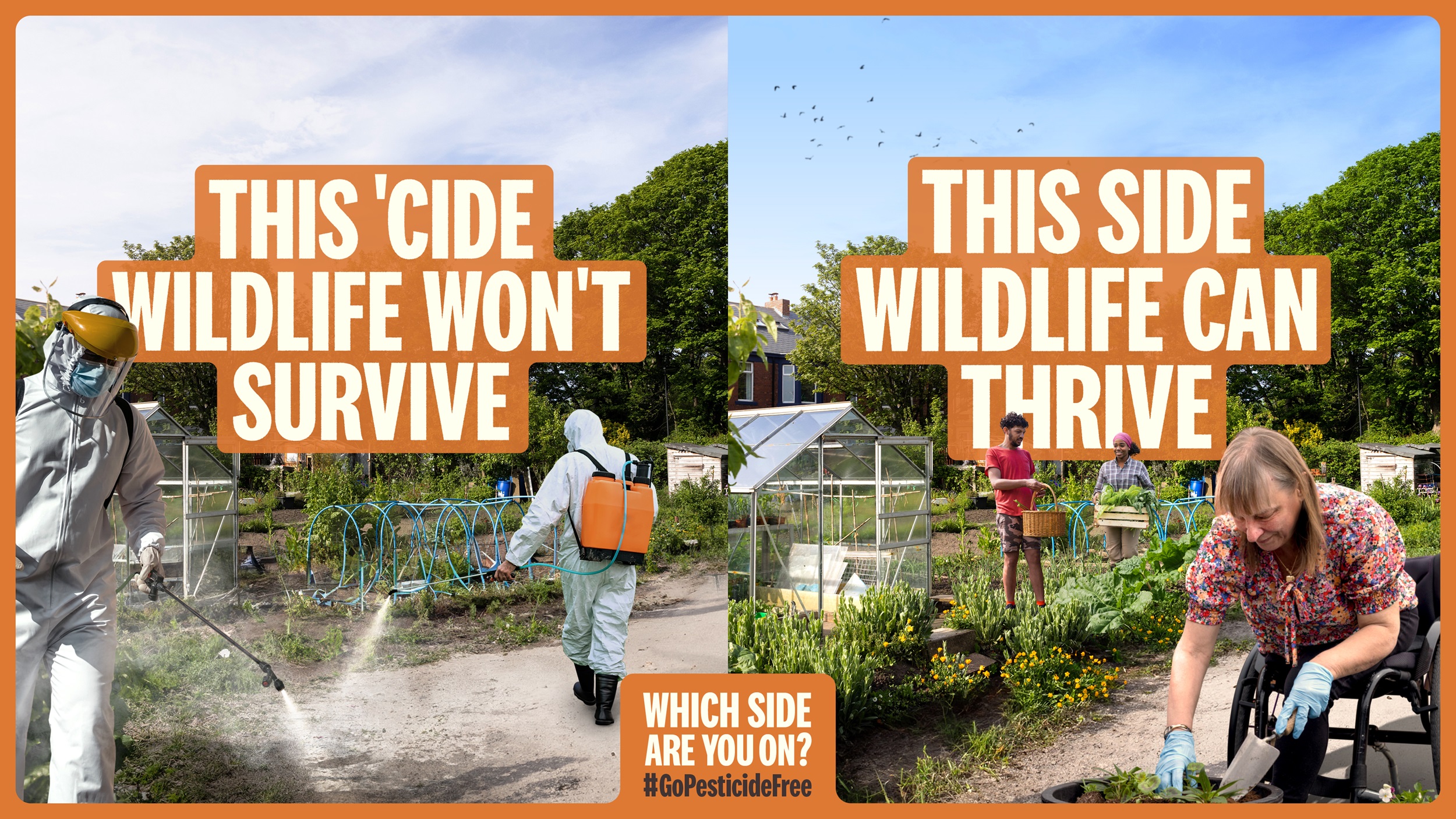 Protect our wildlife - support a national ban on urban pesticides