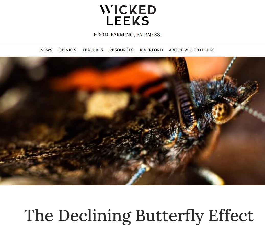 Wicked Leeks: The declining butterfly effect