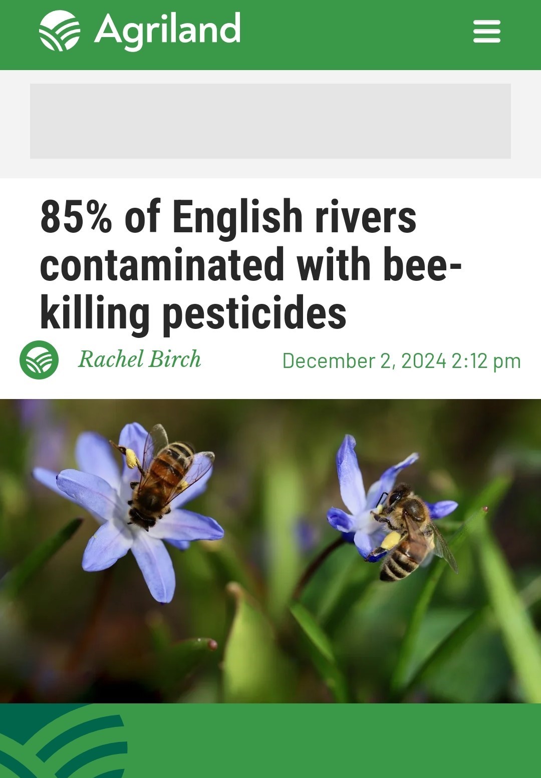 85% of English rivers contaminated with bee-killing pesticides