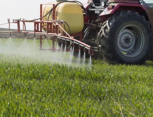 UK Pesticides National Action Plan finally published – our initial response